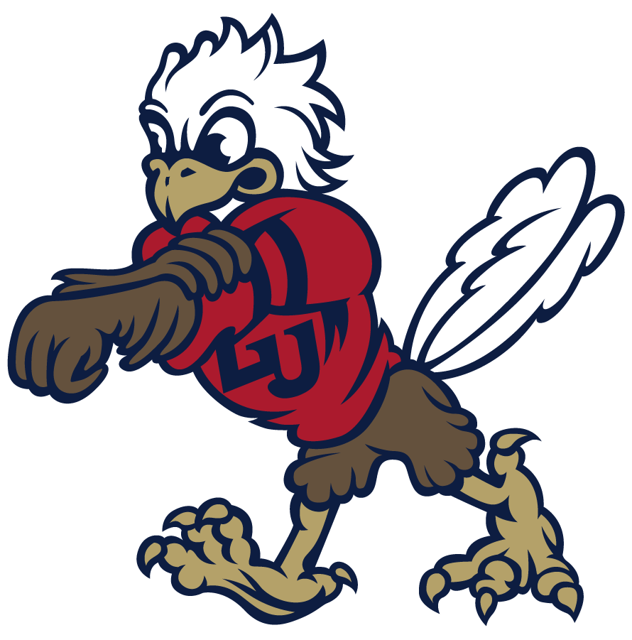 Liberty Flames 2013-Pres Mascot Logo iron on transfers for T-shirts...